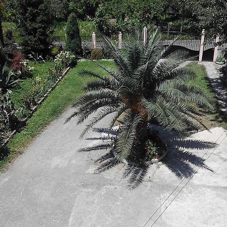 Guest House Vitali Gonio Zewnętrze zdjęcie